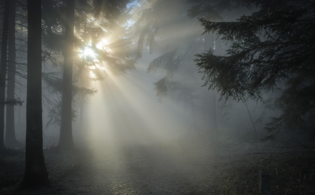 Ostrzeganie przed mgłą